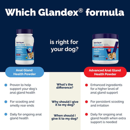 Vetnique Glandex Dog Fiber Supplement Powder for Anal Glands with Pumpkin, Digestive Enzymes & Probiotics - (Regular or Advanced Strength) - Boot The Scoot (4.25 oz, Advanced Strength Duck & Bacon)