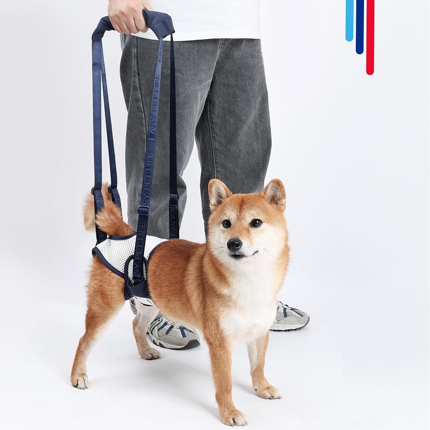 Easy Pet Life Dog Sling for Back Legs, Adjustable Pet Mobility Aid，Pet Rear Leg Support Brace,Hip Support Harness to Help Lift Dogs Rear for Helps Senior and After ACL Surgery (Blue, XL)