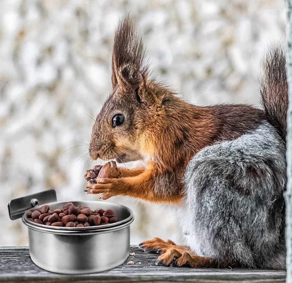 MotBach 3 Pack Bird Feeding Bowls Cups Parrot Food Water Dishes, Stainless Steel Bird Bowl Cup Dish with Clamp, Birdcage Feeder Pet Cage Bowls for Cockatiel Budgie Conure Macaw Parakeet Small Animal