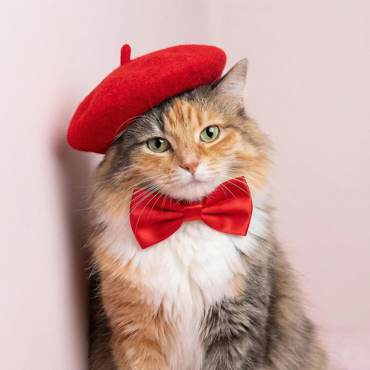 1Pcs Dog Beret for Small Dogs Cat, French Artist Dog Hats Cute Felt Cats Hat for Small Dogs Cat Halloween Christmas Hair Accessory Photo Props(Red)