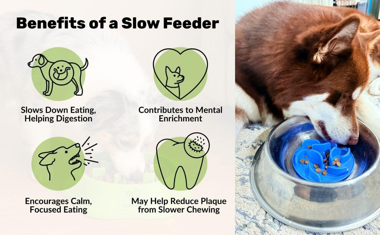 Slow Feeder Insert for Dog Bowl with Suction Cups – Anti-Choke Silicone Design Fits Most Dog Bowls – Includes 3 Finger Toothbrushes for Puppy & Pet Dental Care – Blue, Pink, Black Color