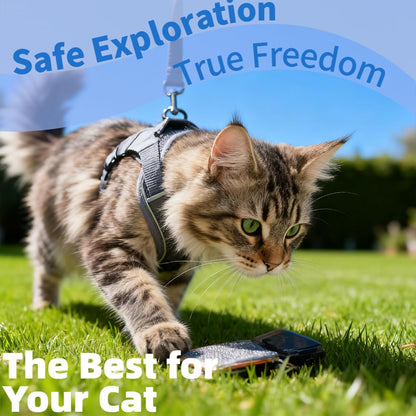 Cat Chest Straps and Belts, Anti-Escape Adjustable Soft net cat Belts, Easy to Control, Breathable, Chest Straps Set for All Types of cat Vests，XL