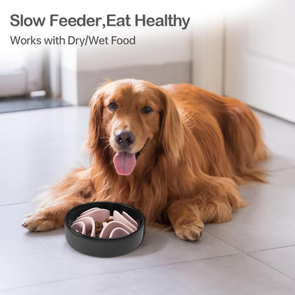 2 Pcs Slow Feeder Insert for Dog Bowl, Anti-Choking Silicone with Strong Suction Cups, Fits Most Dog Bowls, Ideal for Medium, Large Breeds (Green+Pink)