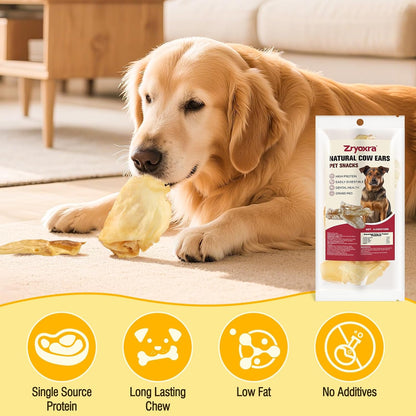 100% Natural Real Cow Ears for Dogs - Single Ingredient Dental Chew, Long-Lasting Treats for All Breeds (Small/Medium/Large) | High Protein, Easily Digestible(120g)