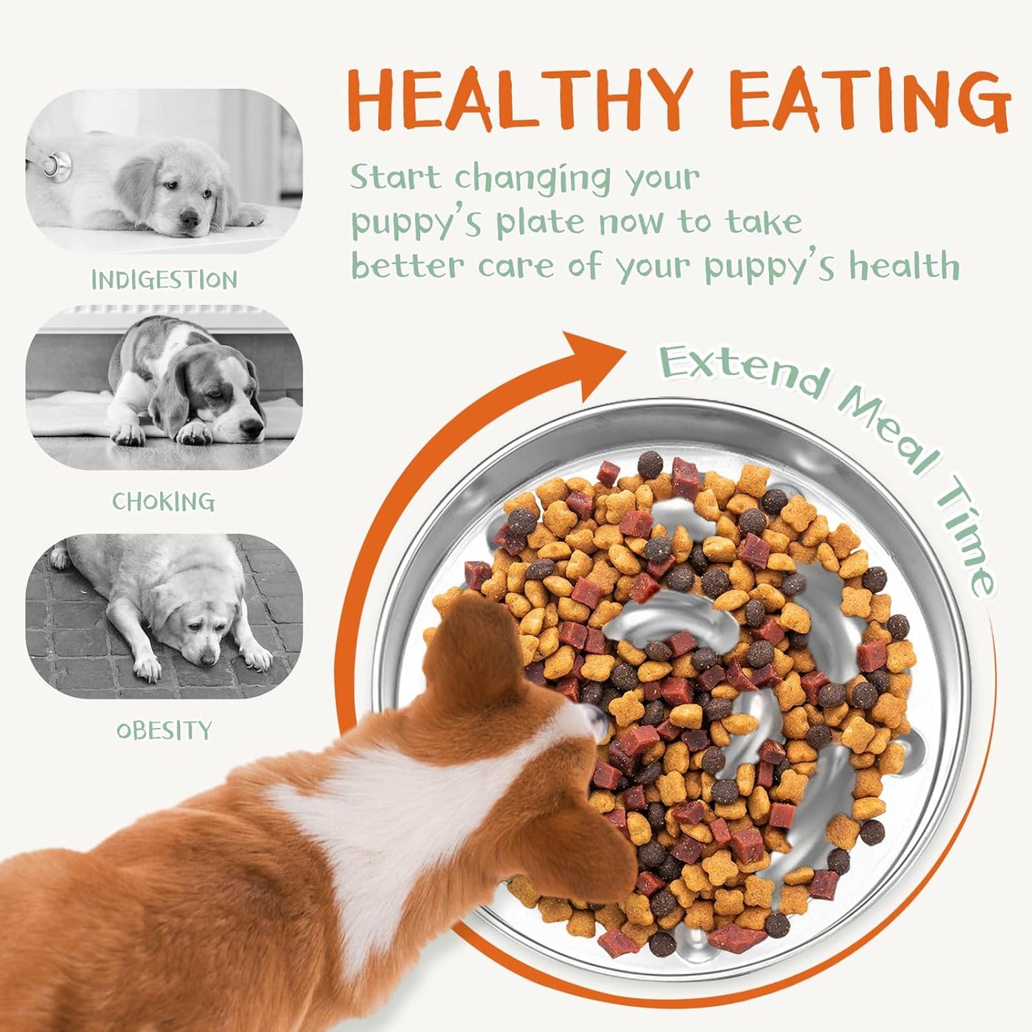 2PCS 9in Slow Feeder Dog Bowls, Stainless Steel Slow Feed Dog Bowl, Large Capacity Bowl for Dogs, Double-Sided Design Suitable for Dry and Wet Food, Dogs Accessories, Pet Supplies (Sliver)