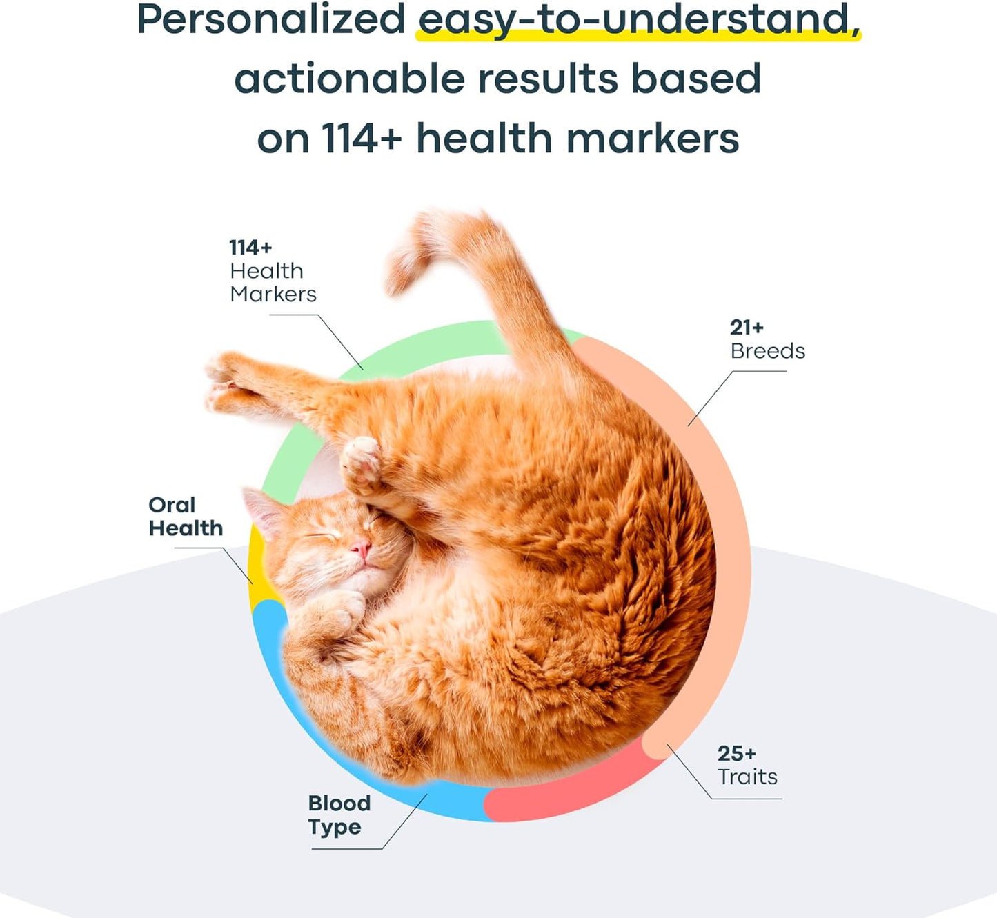 Basepaws Cat DNA Test Kit - Comprehensive Breed, Health and Dental Analysis Across 114 Traits for Accurate and Easy-to-Use Genetic Insights