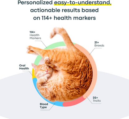 Basepaws Cat DNA Test Kit - Comprehensive Breed, Health and Dental Analysis Across 114 Traits for Accurate and Easy-to-Use Genetic Insights