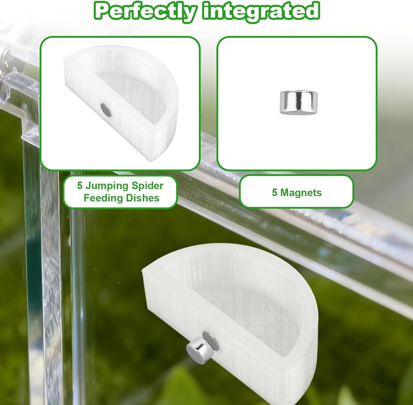 5pcs Jumping Spider Feeding Dish Kit, Magnetic Half Round Jumping Spider Food Feeder Water Bowl Dispenser Leak-Proof Enclosure Accessories Hide Decor for Tarantula Mantis Small Reptiles