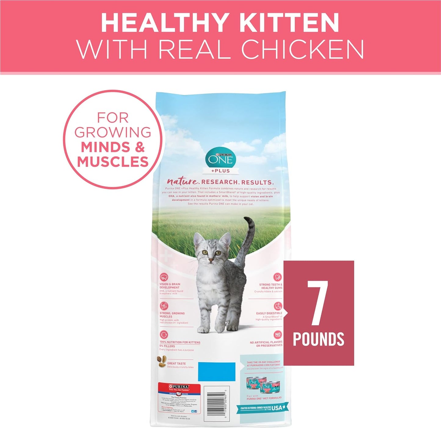 Purina ONE High Protein, Natural Dry Kitten Food, +Plus Healthy Kitten Formula - 7 lb. Bag