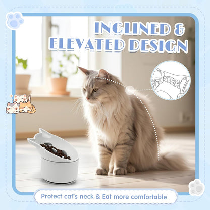 2 Pack Silicone Cat Slow Feeder, Elevated Slow Feeder Cat Bowl for Dry and Wet Food, Tilted Design with Non Slip Base, Adjustable Angle for Pet(Gray and Blue)