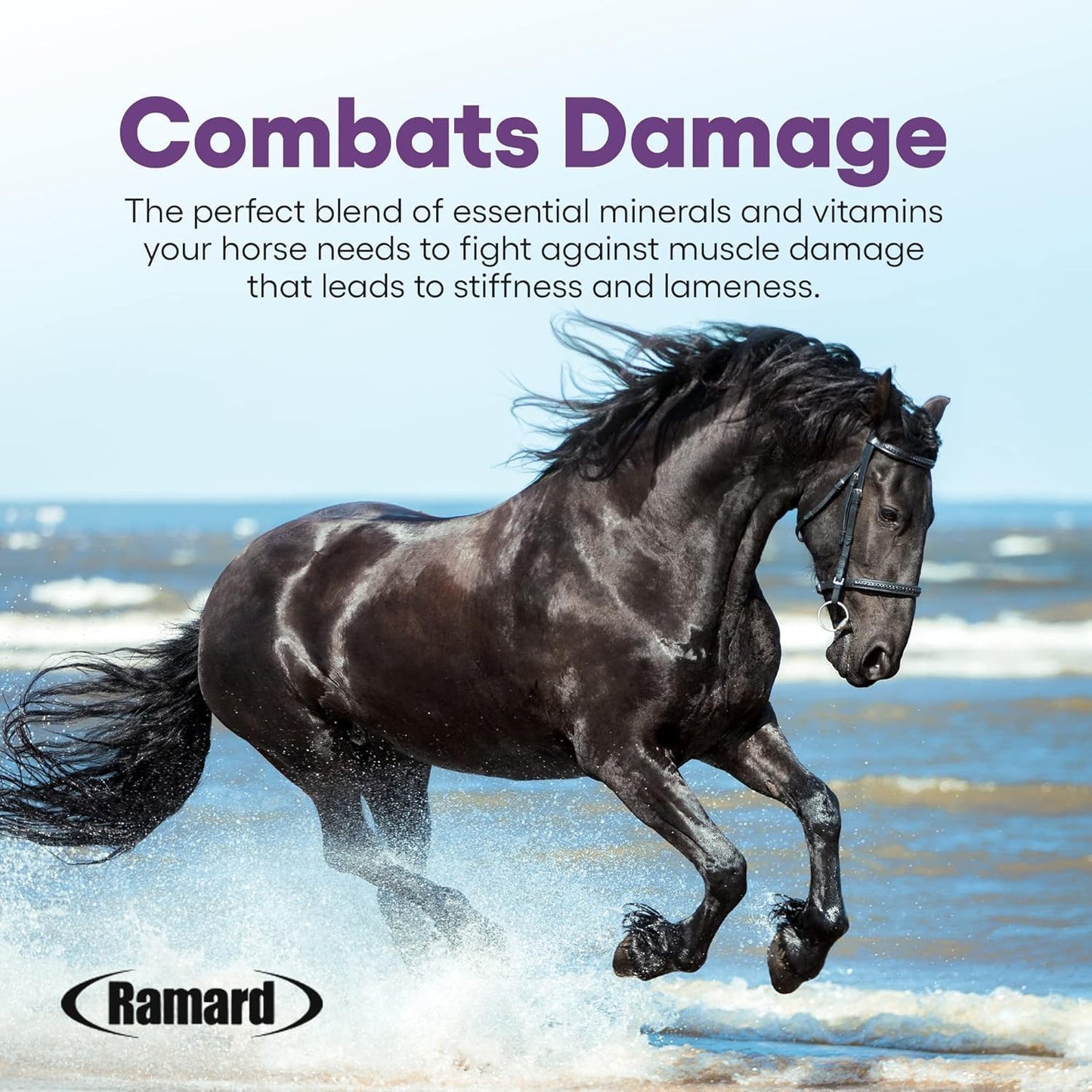 Ramard Total Lactic Care for Aging Horses, Supports Muscle Function, Energy & Stamina Horse Supplies, Vitamin & Supplements w/Branch Chain Amino Acids, 30cc Oral Syringe, 1pk