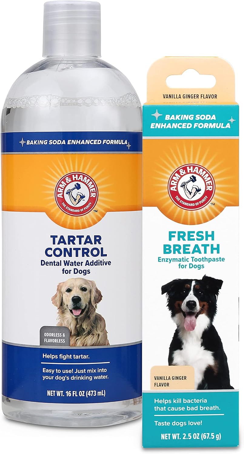 Arm & Hammer for Pets Combo Pack Dental Tartar Control Water Additive and Fresh Breath Vanilla Ginger Enzymatic Toothpaste | Includes 16 Oz Water Additive and 2.5 oz Dog Toothpaste