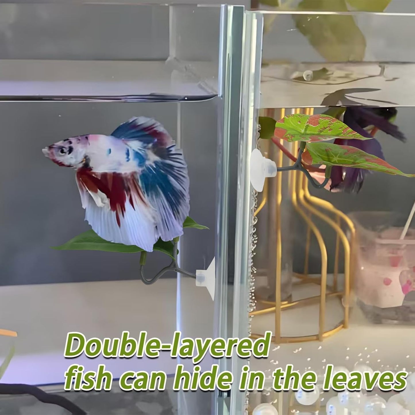 4 Pcs Betta Fish Leaf Pad, Spawning Grounds Breeding Resting Bed, Natural Habitat Pad for Beta Resting/Spawning Grounds/Aquarium Decor