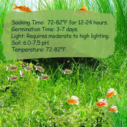 Premium Aquarium Plant Seeds for Planting – 13,000+ Live Mixed Seeds, 8 Varieties – Easy-to-Grow Aquatic Greenery for Lush, Vibrant Fish Tanks