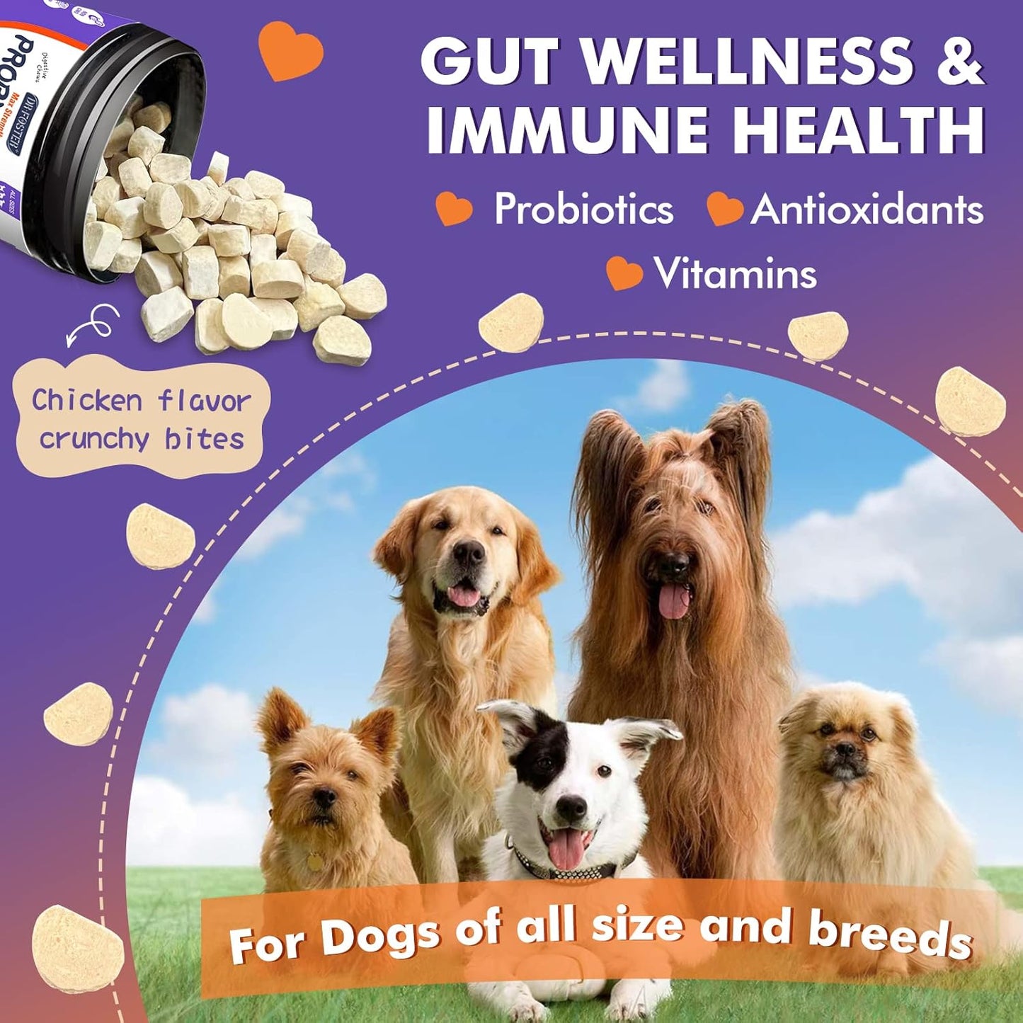 DRFOSTER Probiotics for Dogs, Freeze-Dried Dog Probiotics and Digestive Enzymes, Plus Omega-3 for Itchy Skin, Prebiotics for Digestive Health, Dog Vitamins and Supplements for Immune Health, 180 Bites