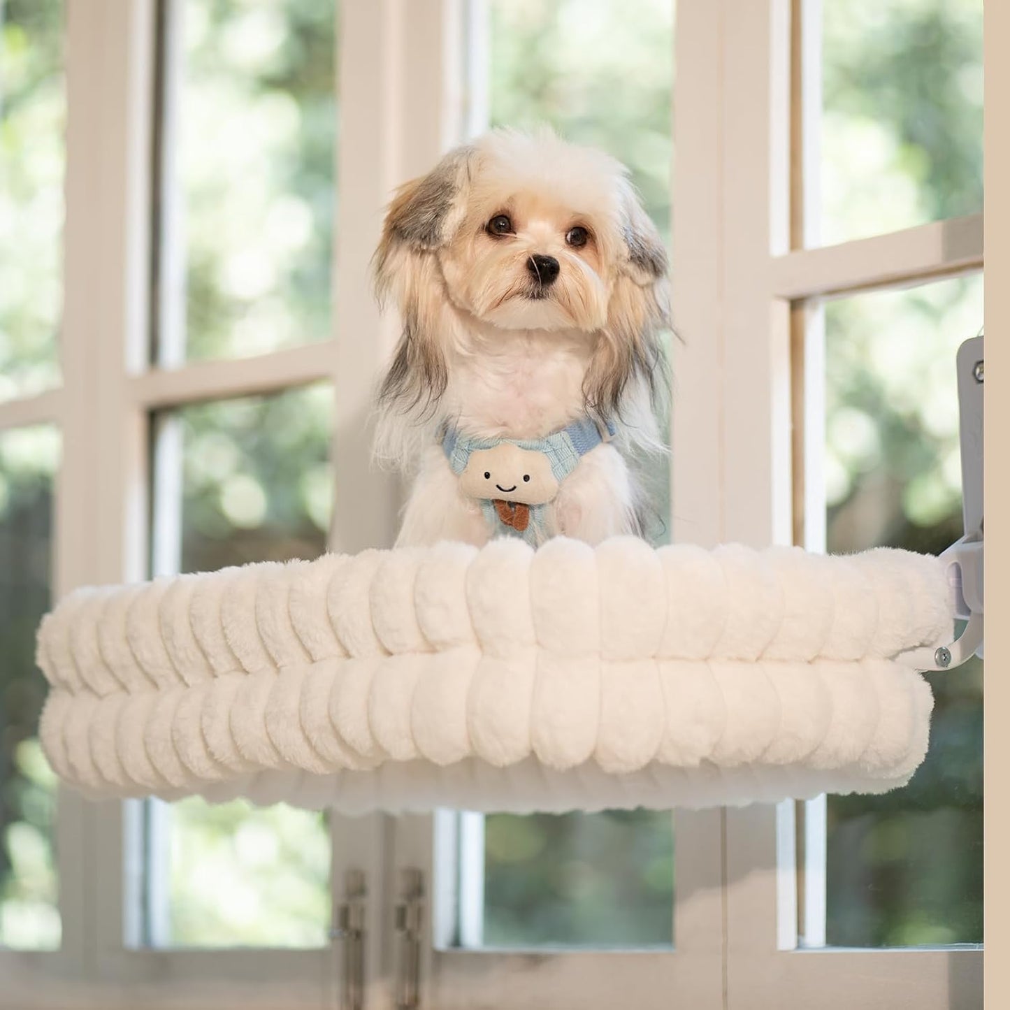 CHEERPALS Cat Window Perch for Indoor Cats Hammock for Window with Reversible Cushion, Foldable Cat Window Bed for Large Cats and Kittens(White,Medium)