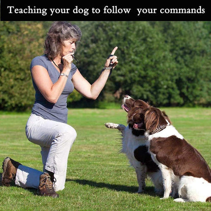 Dog Whistle to Stop Barking,Adjustable Pitch Ultrasonic Training Whistle Silent Bark Control for Dogs-2 Pack Dog Whistle with Free Lanyard Strap