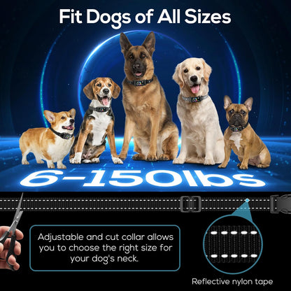 Bark Collar, 2 Pack Smart Dog Bark Collar for Large Medium Small Dogs, Anti Barking Device for Dogs Training Collar with Beep Vibration Harmless Shock, 5 Adjustable Sensitivity (Black)