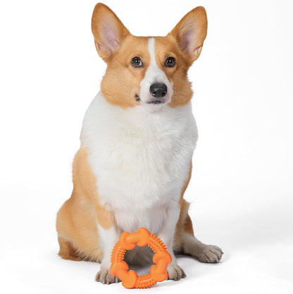 Arm & Hammer for Pets Nubbies Dog Dental Toys Rubber Ring Toy, Peanut Butter Flavored, Chew Toy for Dogs, Best Dog Chew Toy for Moderate Chewers, Reduces Plaque & Tartar Buildup Without Brushing