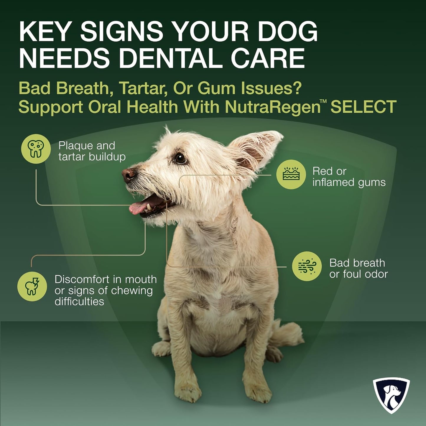 Select Senior Dog Digestive Probiotic Powder and Dental Support Bundle | Pet Dental Powder & Dog Breath Freshener, 7 Bn CFU | 60 Servings, 6.7 oz