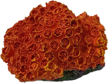 Aquarium Coral Ornament Decor Fish Hide for Fresh or Saltwater Aquariums - Replica Sun Coral (4.75" x 3" x 2.5")