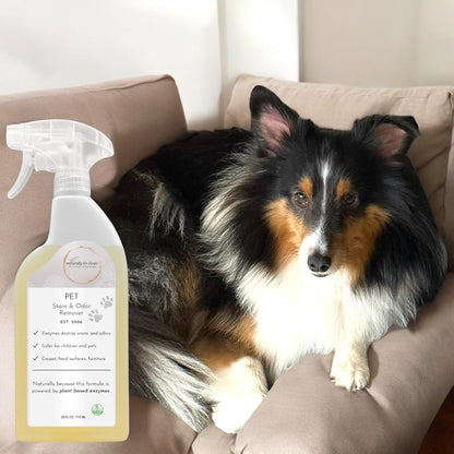 naturally it's clean Enzyme Pet Stain & Odor Remover | Plant-Based Cleaner for Dog Poop, Cat Urine, Vomit & More | Powerful Odor Eliminator | Biodegradable & Safe for Pets | Made in USA