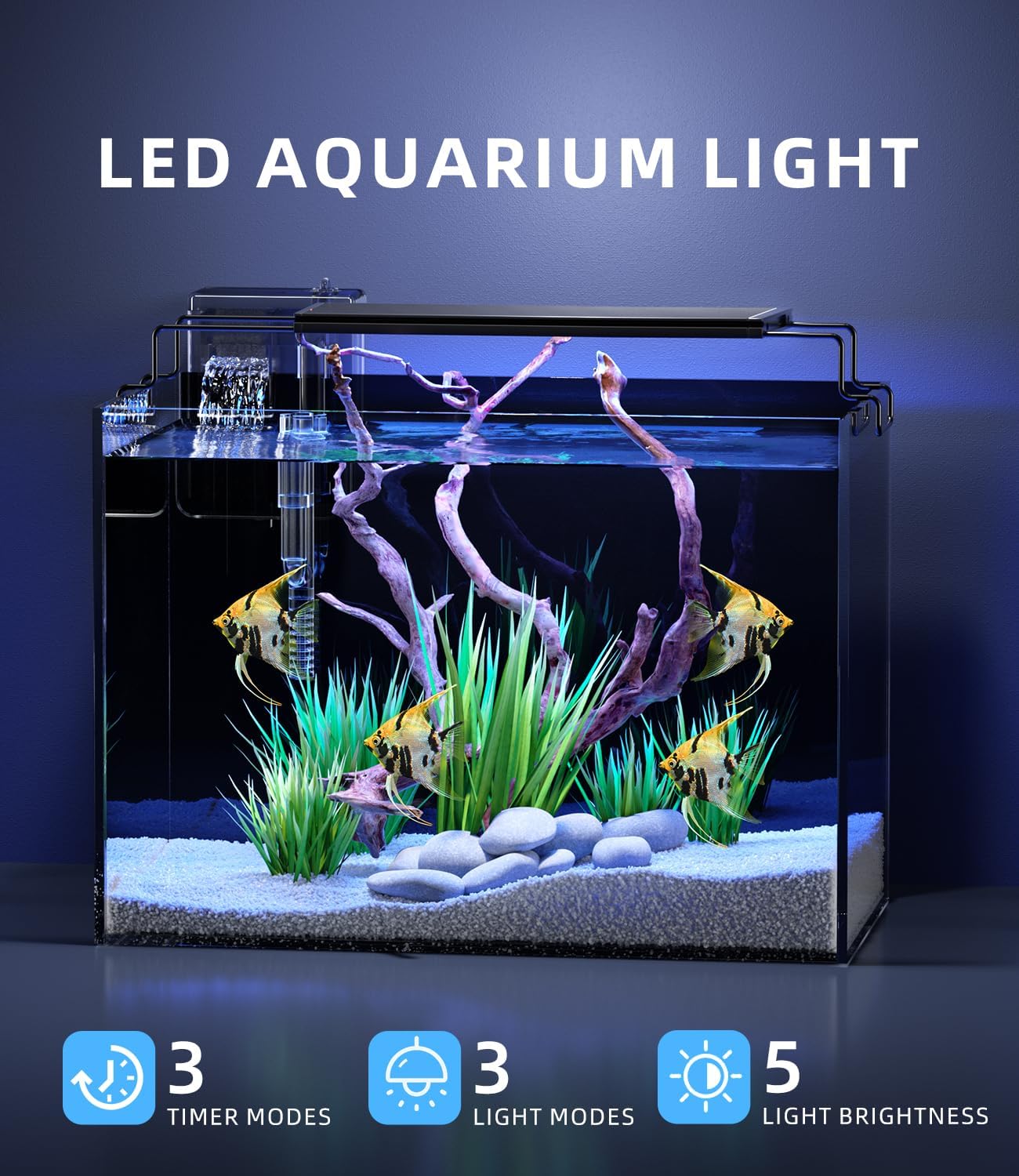 5 Gallon Fish Tank Aquarium Kit with Filter, LED Light with Timer, Siphon Vacuum Cleaner, Lid, Self-Cleaning Glass Rimless Betta Tank