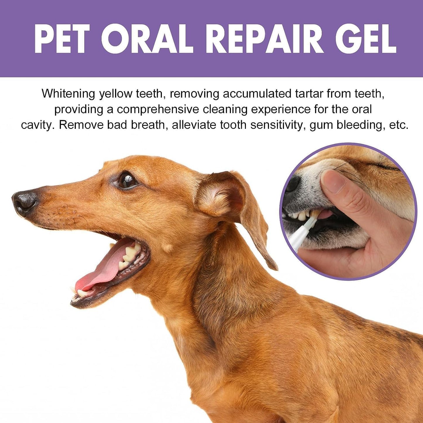 3Pcs Pet Oral Repair Gel, Pet Oral Restoration Whitening Gel, Pet Teeth Care Gel Cleaner Teeth & Fresher Breath, Without Brushing
