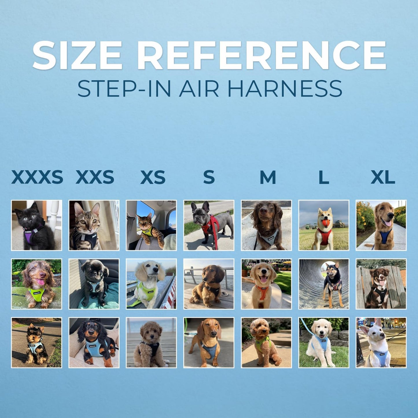 Best Pet Supplies Voyager Step-in Air Harness - All Weather Mesh, Reflective, No Pull Harness for Dogs, Cats - Secure with Hook & Loop Fastener, Buckle, Double D-Rings - Blue/Black Trim, XS