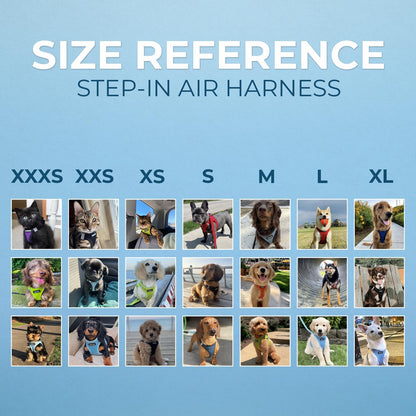 Best Pet Supplies Voyager Step-in Air Harness - All Weather Mesh, Reflective, No Pull Harness for Dogs, Cats - Secure with Hook & Loop Fastener, Buckle, Double D-Rings - Blue/Black Trim, XS