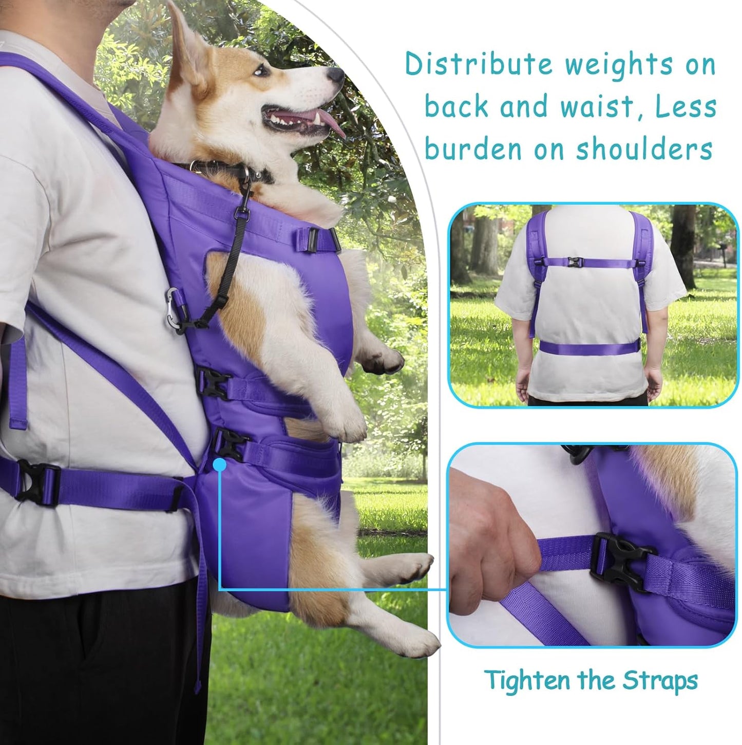 PetBonus Pet Front Dog Carrier Backpacks and Dog Seat Belt for Car