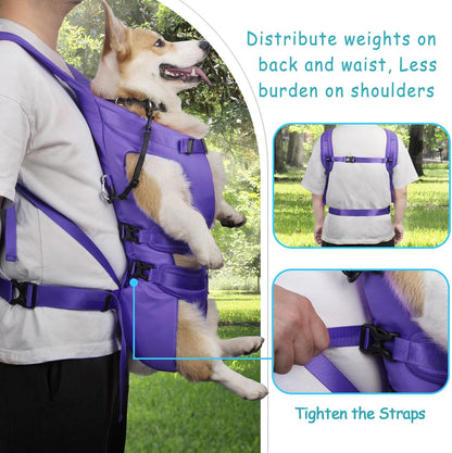 PetBonus Pet Front Dog Carrier Backpacks and Dog Seat Belt for Car