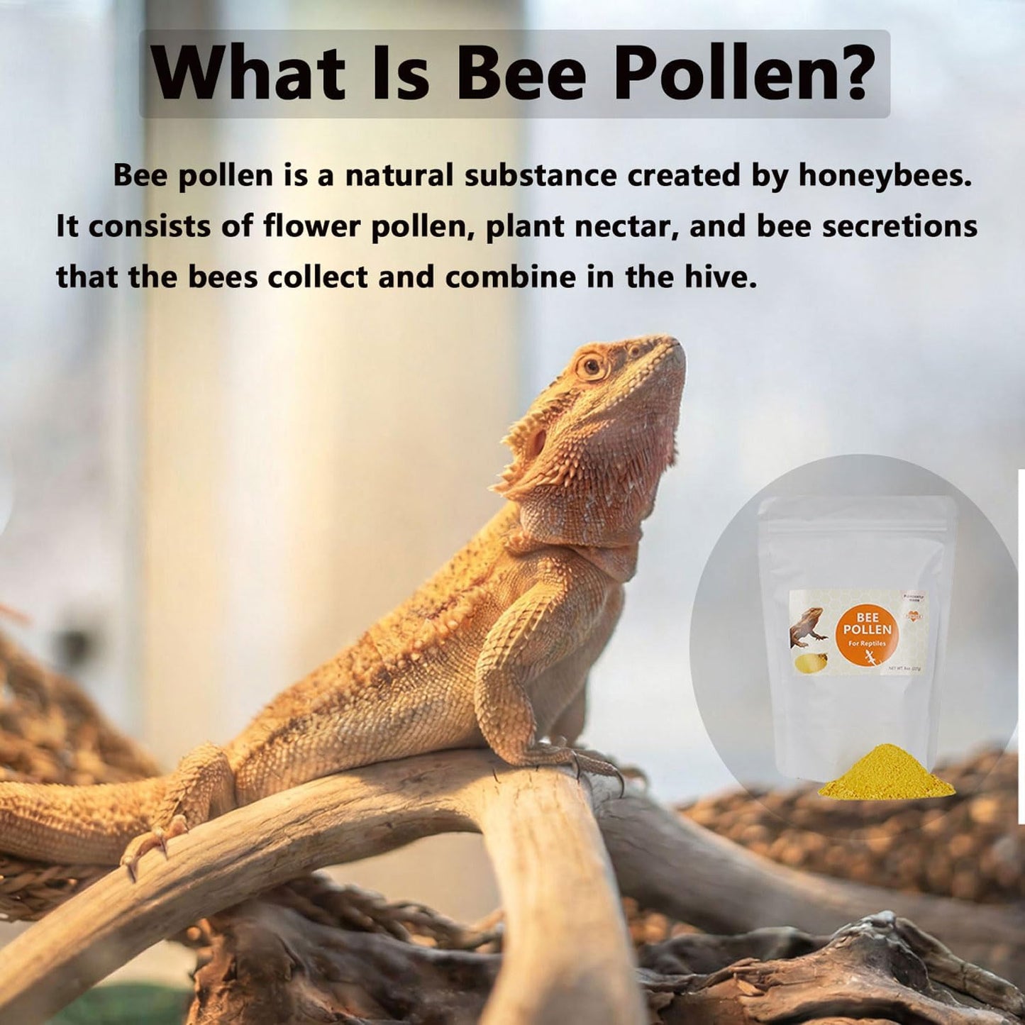 Premium Bee Pollen for Bearded Dragons, Reptiles, Chameleons, Geckos, Amphibians, Natural Appetite and Immune Support, 8 oz Resealable Bag