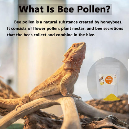 Premium Bee Pollen for Bearded Dragons, Reptiles, Chameleons, Geckos, Amphibians, Natural Appetite and Immune Support, 8 oz Resealable Bag