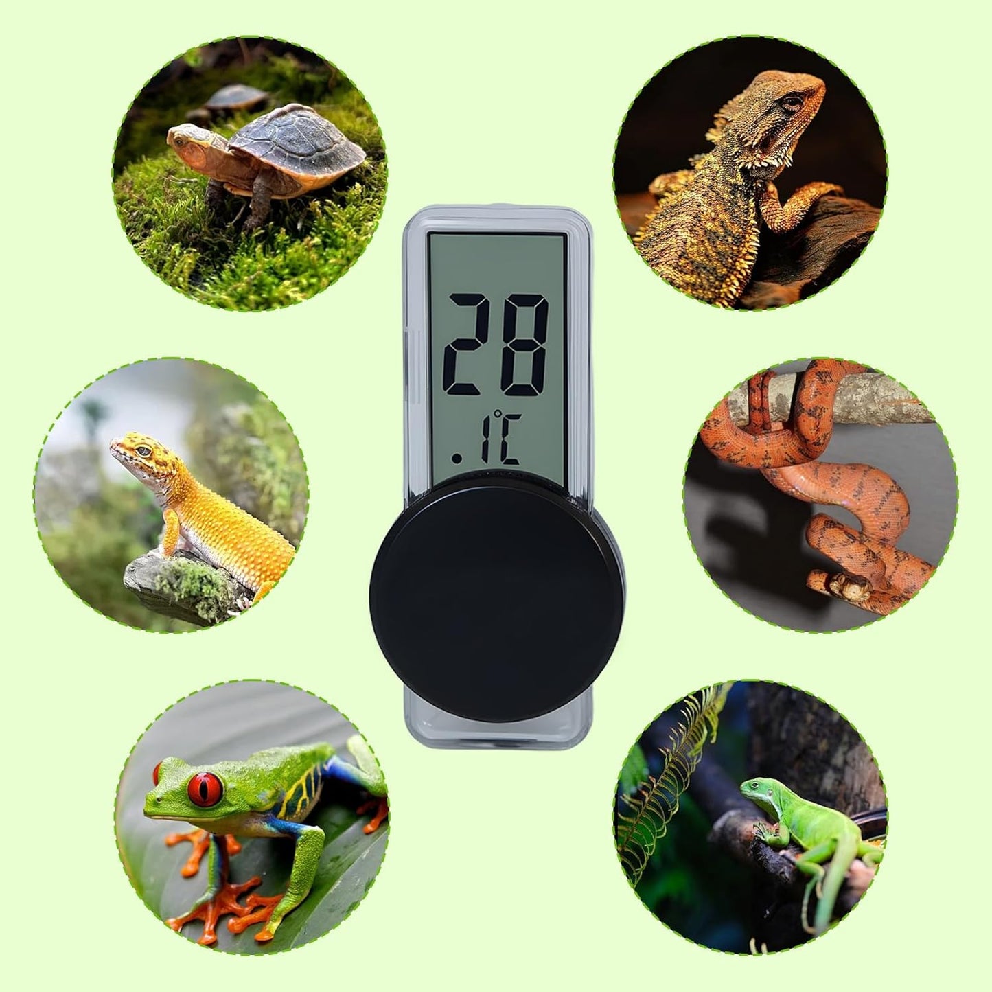 Reptile Terrarium Thermometer Hygrometer, Digital LCD Temperature & Humidity Gauge with Suction Cup, Vivarium/Tank Monitor for Bearded Dragons Geckos Lizards Snakes Turtles Frogs Amphibians
