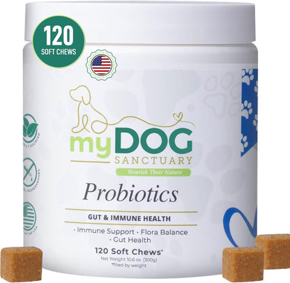 Probiotics for Dogs 120 Chews - Digestive Enzymes & Gut Health Support with Pumpkin Seed, Ginger Root – Dog Probiotics for Diarrhea, Bowel & Immune Support - Bacon Flavor, Soft Chews