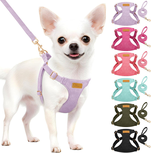 Lukovee No Pull Small Dog Harness with Leash - Lightweight Soft Puppy Vest Harnesses, Adjustable Pet Harnesses for Puppy Small Dogs (Purple, XS)
