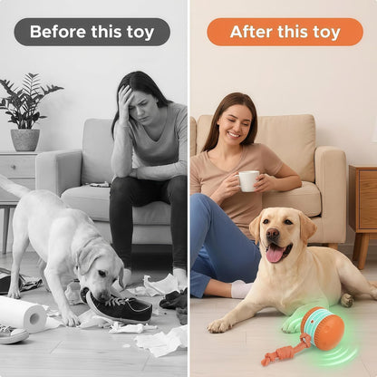 Interactive Dog Toy, Automatic Electric Rolling Ball with Rope, Random Movement, 2 Modes, Rechargeable, Interactive Dog Ball Toy for All Dog and Cat Size, Ideal for Boredom Relief (Orange)