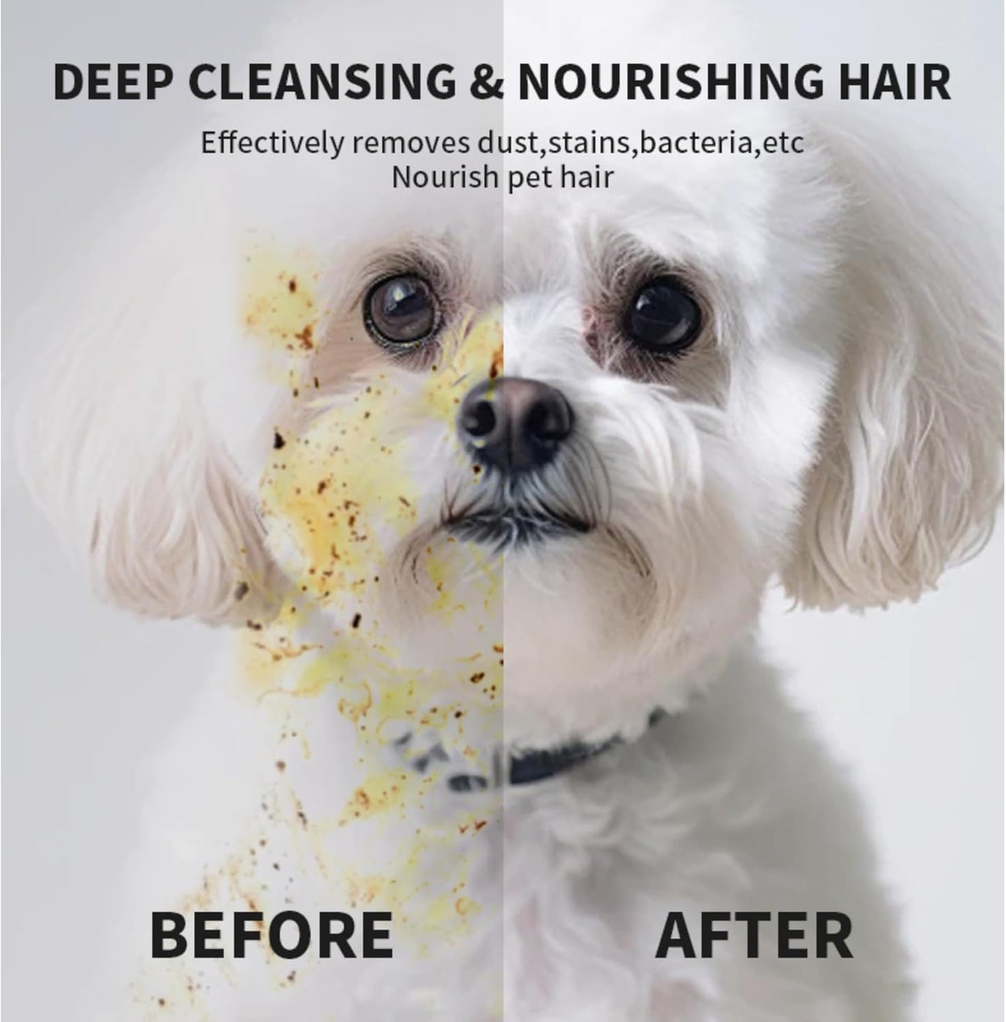 Disposable pet Cleaning Gloves Wet Wipes, Suitable for Daily Cleaning and Travel use. Two Packs of unscented Glove Wet Wipes (Green Packaging, 12 Pieces Each) + 1 Pack of Wet Wipes (as a Gift)