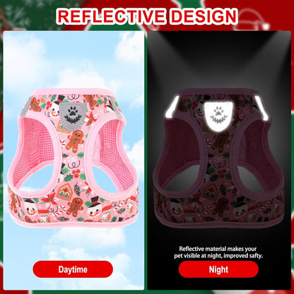 EXPAWLORER Christmas Puppy Harness - Dog Collar and Leash - Soft Mesh Padded Adjustable Step in Small Dog Vest Harness No Pull, Reflective Escape Proof for Outdoor Walking, Red S