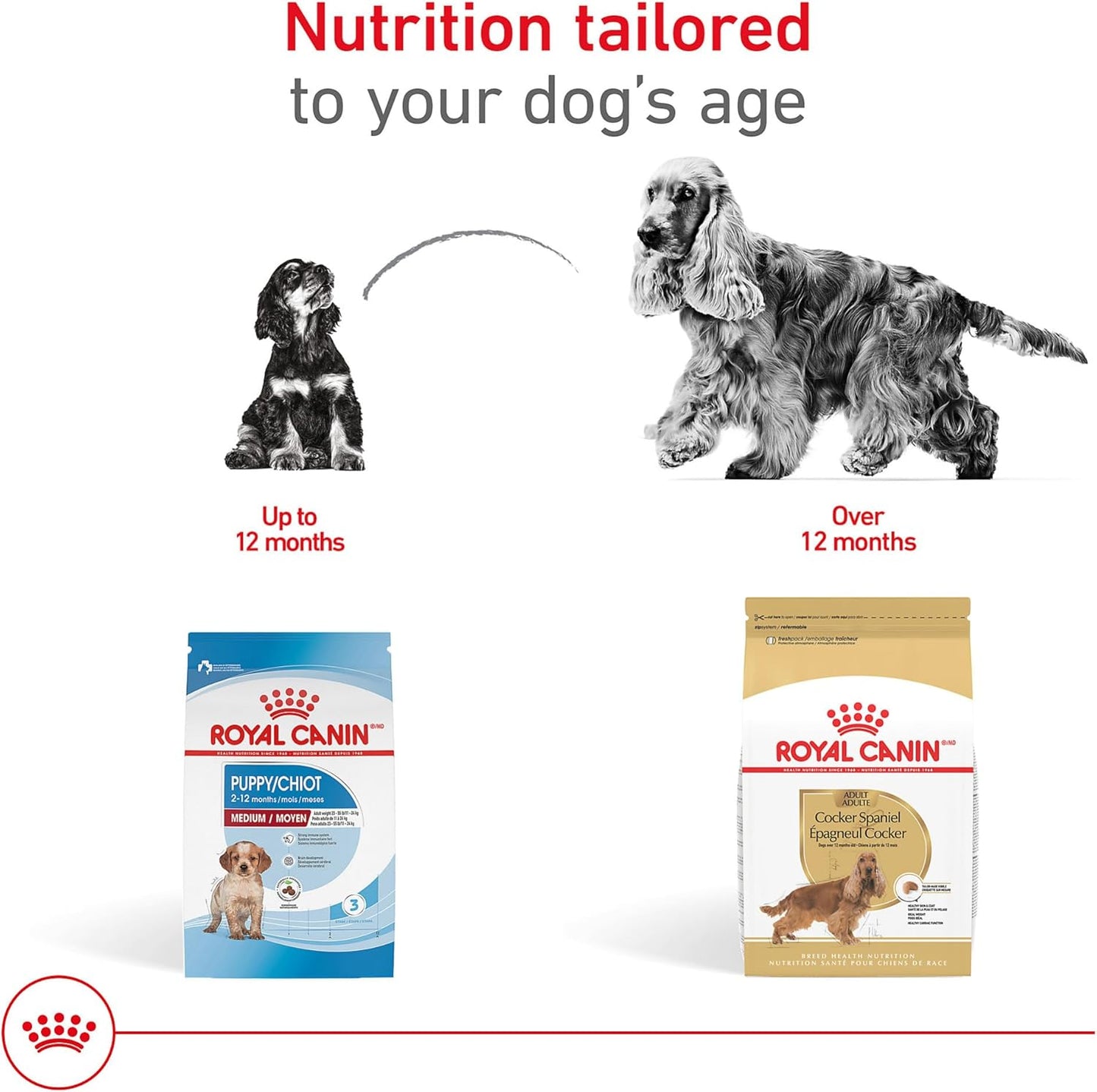 Royal Canin Breed Health Nutrition Cocker Spaniel Adult Dry Dog Food, 6 lb Bag