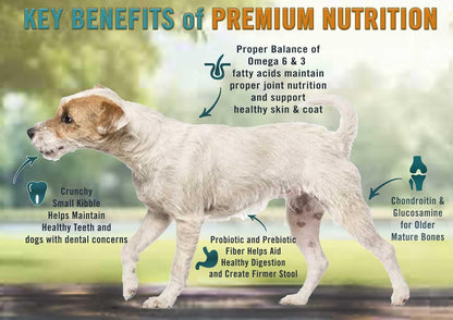 Chicken Soup for the Soul All Natural Premium Small Bites Senior/Mature Dry Dog Food, Real Meat First Ingredient, No By-Products, Supports Joint Health & Mobility, Chicken, Turkey & Brown Rice, 4.5lb