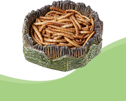 Small Reptile Food Dish, 2 PCS Reptile Water Dish Food Bowl Reptiles Feeding Foods Resin Terrarium Bowl for Bearded Dragon Gecko Frog Snake Chameleon Tortoise