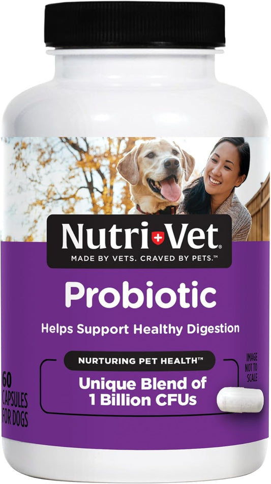 Nutri-Vet Probiotics for Dogs, Supports Digestive Health, Dog Probiotics, Promotes Healthy Immune System, Vet Formulated, Gut Health, Puppy Supplies, 60 Count Capsules