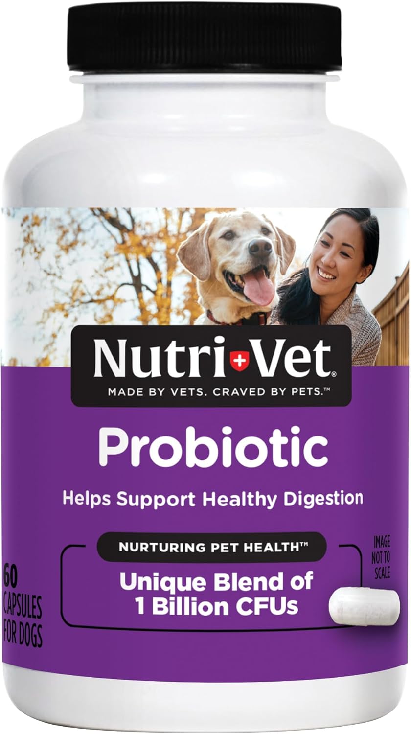 Nutri-Vet Probiotics for Dogs, Supports Digestive Health, Dog Probiotics, Promotes Healthy Immune System, Vet Formulated, Gut Health, Puppy Supplies, 60 Count Capsules