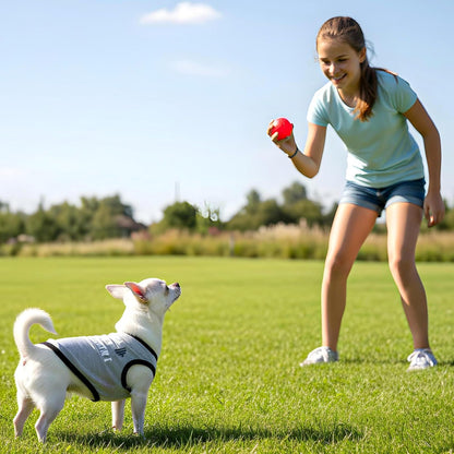 4 Pcs Chihuahua Clothes Cute Boy Dog Shirts for Small Dogs Soft Comfortable Black XXS Dog Clothes Pet Clothing Shirt for Teacup Dogs Yorkies Puppy Kitten