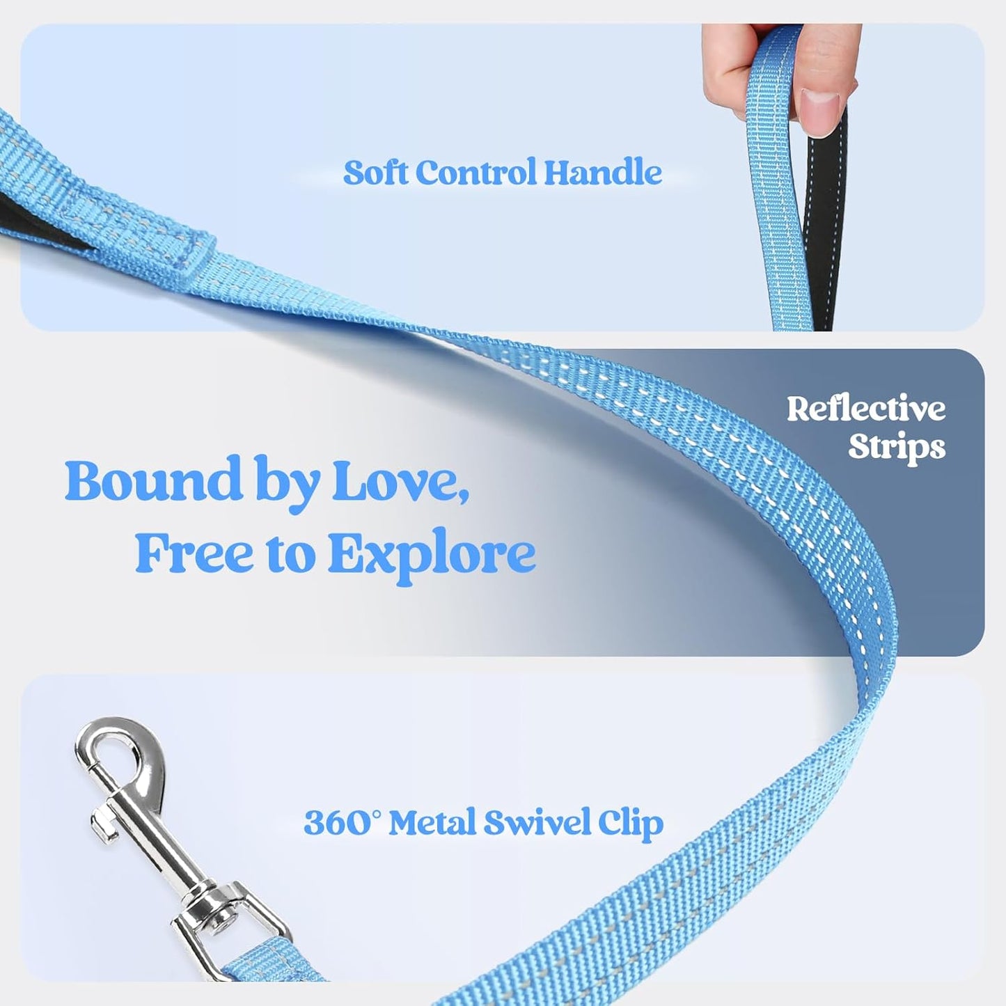 rabbitgoo Dog Harness Small Sized and Leash Set, Step in Soft Light Puppy Vest, Breathable Mesh Pet Harness, Reflective for Safe Easy Walking, Blue M