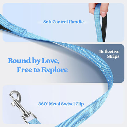 rabbitgoo Dog Harness Small Sized and Leash Set, Step in Soft Light Puppy Vest, Breathable Mesh Pet Harness, Reflective for Safe Easy Walking, Blue M