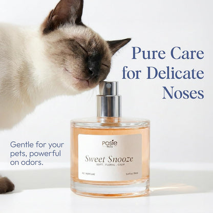 Dog Cologne Spray with Long Lasting Jasmine, Musk, and Vanilla Scent - Vegan Alcohol-Free Pet Deodorizer for Smelly Dogs - Water-Based Luxury Puppy Grooming Fragrance - Sweet Snooze, 100ml