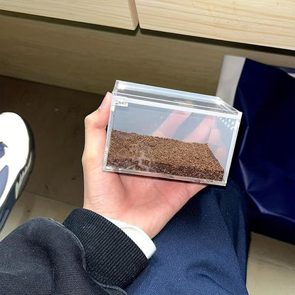 Spider Terrarium, Transparent Waterproof Reptile Feeding Enclosure Box, Gecko Breeding Feeding Hatching Container Tank, Small Reptile Animal Habitat Cage for Snail Frog Gecko Scorpion Centipede